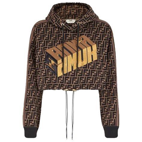 fendi hoodie sale|fendi roma hoodie.